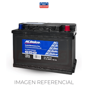 ACDELCO DERECHO POSITIVO L3_EFB